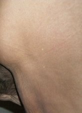 masaj erotic ghei chisinau