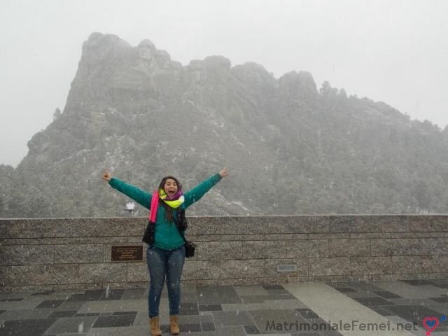 rezumate ion luca caragiale