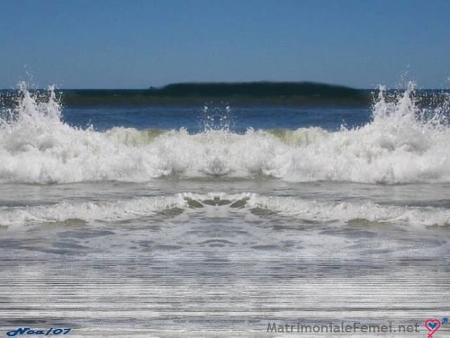 rebusr rezolvat fizica