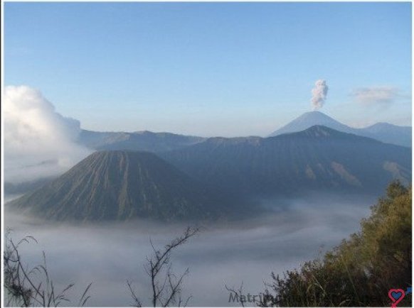 o blonda an colanti cum i se vede pizda