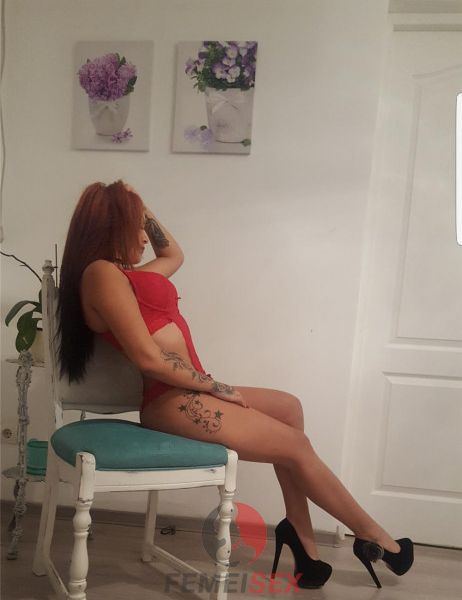 escorte baia mare numere