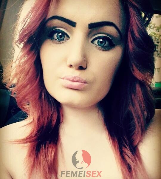 download cainele si stapana