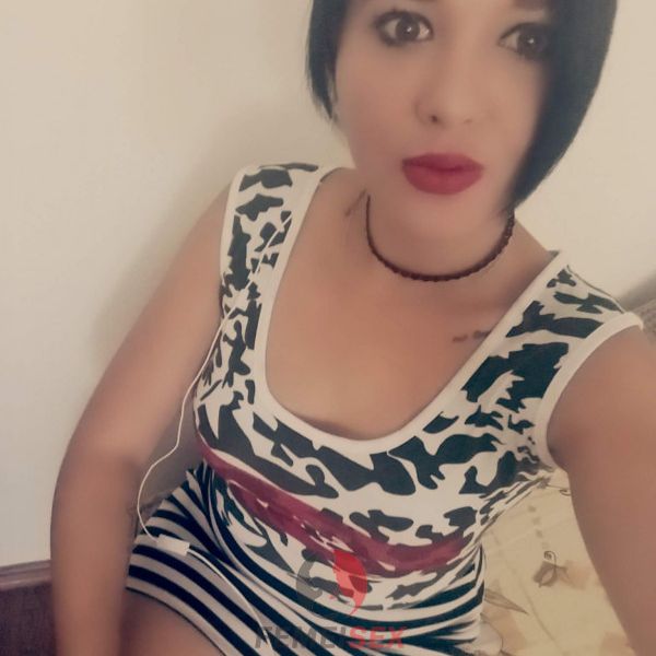 escorte cu tel salaj